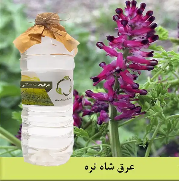 عرق شاه تره