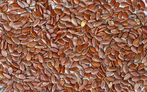 تصویر 3 از خرید و قیمت تخم کتان قرمز + فروش عمده