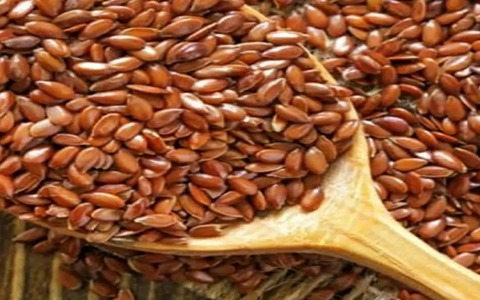 تصویر 4 از قیمت خرید تخم کتان خوراکی با فروش عمده