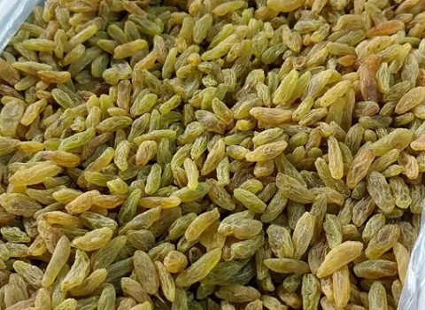 تصویر 4 از قیمت خرید کشمش سبز کاشمر با فروش عمده