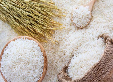 تصویر 1 از قیمت خرید برنج ندا گرگان + فروش ویژه