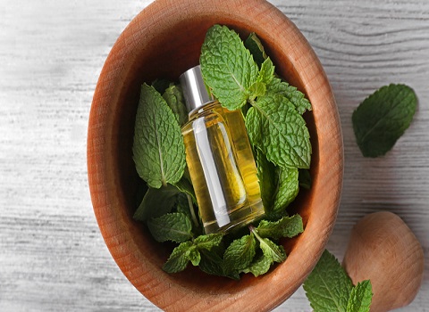 تصویر 4 از فروش عرق نعنا دو آتیشه + قیمت خرید به صرفه