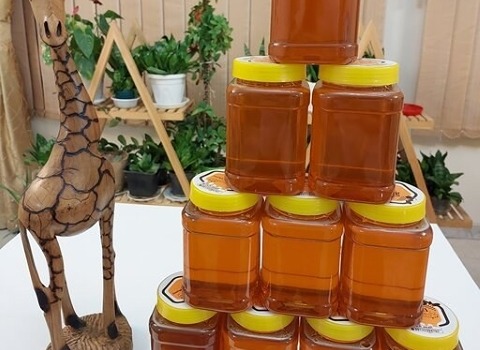 تصویر 3 از خرید و فروش عسل گزانگبین خوانسار با شرایط فوق العاده