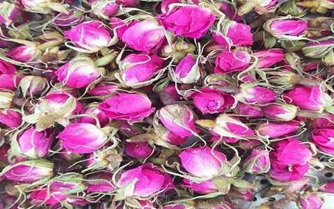تصویر 1 از قیمت غنچه گل محمدی لاله زار + خرید باور نکردنی