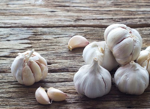 تصویر 3 از قیمت خرید سیر بذری همدان + فروش ویژه