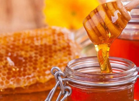 تصویر 4 از خرید عسل چند گیاه جنوب + قیمت فروش استثنایی
