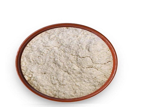 تصویر 2 از قیمت خرید پودر سیر فله عمده به صرفه و ارزان