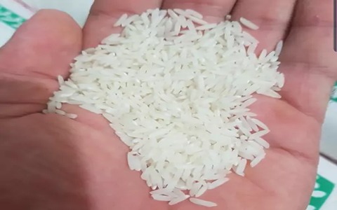 تصویر 2 از فروش برنج هاشمی شمال + قیمت خرید به صرفه