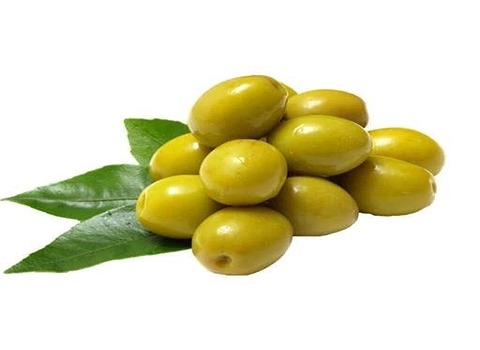 تصویر 3 از قیمت خرید زیتون کنسروی ممتاز با فروش عمده