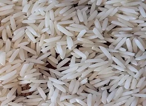 تصویر 1 از فروش برنج ایرانی درجه یک + قیمت خرید به صرفه