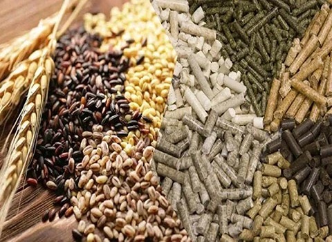 تصویر 2 از خرید و قیمت مکمل ویتامین دامی + فروش عمده