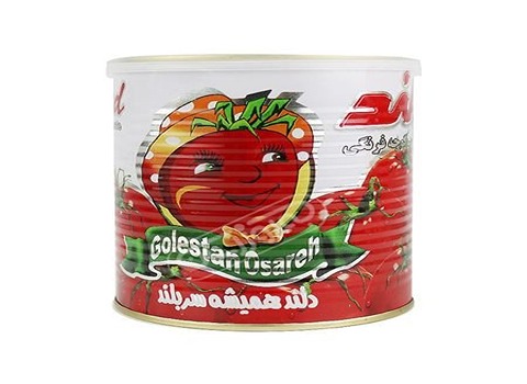 تصویر 3 از قیمت رب گوجه فرنگی دلند + خرید باور نکردنی