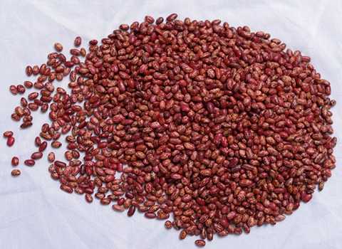تصویر 2 از قیمت خرید سماق قرمز نکوبیده عمده به صرفه و ارزان