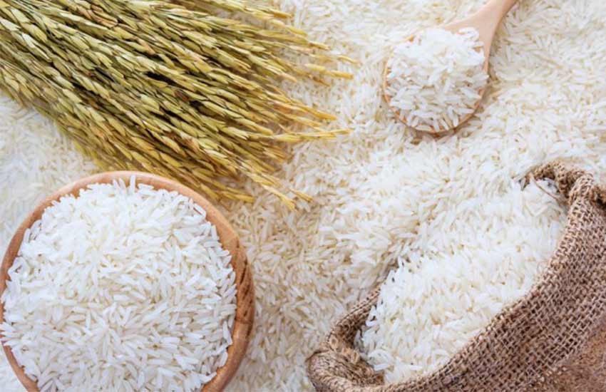 تصویر 1 از قیمت برنج گیلان کشت + فروش ویژه