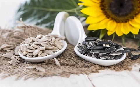تصویر 3 از قیمت تخمه آفتابگردان قلمی + خرید باور نکردنی