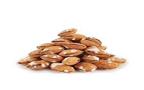 تصویر 3 از قیمت بادام درختی کاغذی با کیفیت ارزان + خرید عمده