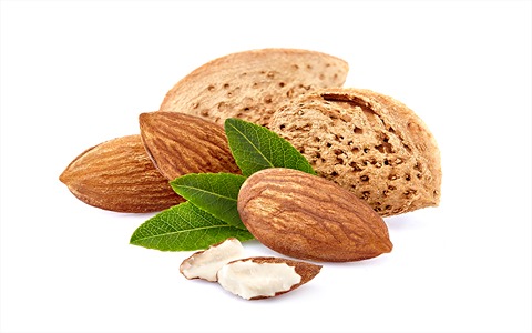 تصویر 4 از قیمت بادام درختی کاغذی با کیفیت ارزان + خرید عمده