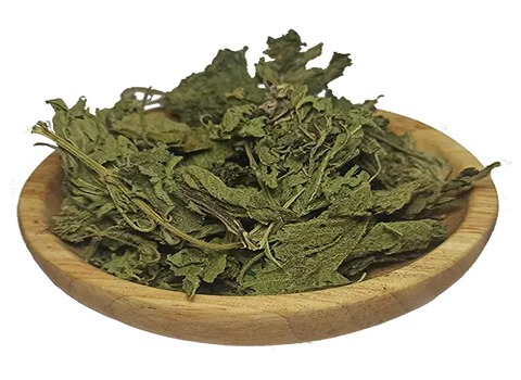 تصویر 3 از قیمت گیاه گزنه خشک شده + خرید باور نکردنی
