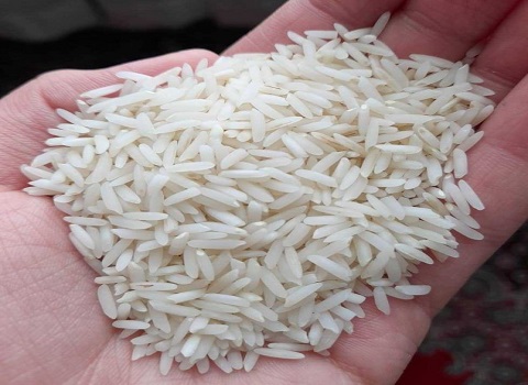 تصویر 4 از فروش برنج هاشمی درجه یک گیلان + قیمت خرید به صرفه