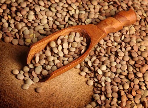 تصویر 1 از خرید و فروش عدس گلستان 900 گرمی با شرایط فوق العاده