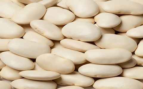 تصویر 2 از خرید و قیمت لوبیا سفید بزرگ + فروش عمده