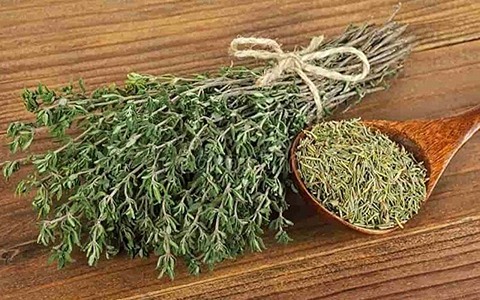 تصویر 4 از خرید گیاه دارویی آویشن باغی + قیمت فروش استثنایی