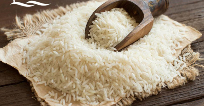 تصویر 4 از خرید و قیمت برنج شمال شیرودی + فروش صادراتی
