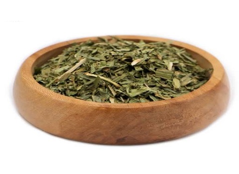 تصویر 4 از قیمت خرید گیاه شاتره خشک شده با فروش عمده