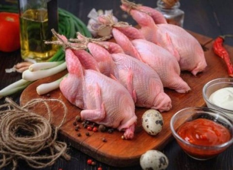 تصویر 3 از فروش گوشت بلدرچین مشهد + قیمت خرید به صرفه