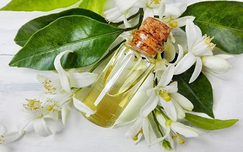 قیمت خرید عرق بهار نارنج با فروش عمده