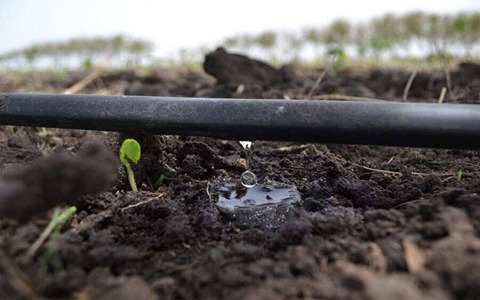 تصویر 1 از قیمت نوار آبیاری قطره ای پلی اتیلن  + خرید باور نکردنی