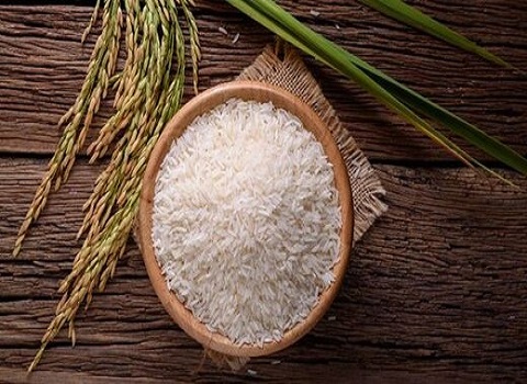 تصویر 1 از خرید برنج طارم هاشمی درجه یک فریدونکنار + قیمت فروش استثنایی