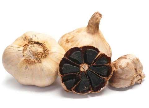 تصویر 1 از خرید و قیمت سیر سیاه صادراتی + فروش عمده