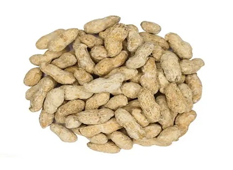 تصویر 4 از خرید و قیمت بادام زمینی شور + فروش عمده