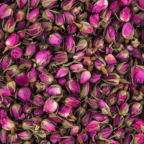 تصویر 3 از خرید و قیمت غنچه گل محمدی تازه + فروش صادراتی