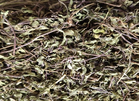 تصویر 1 از خرید نعناع فلفلی خشک شده + قیمت فروش استثنایی