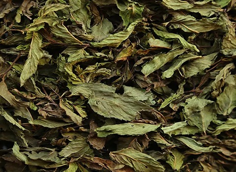 تصویر 2 از خرید نعناع فلفلی خشک شده + قیمت فروش استثنایی