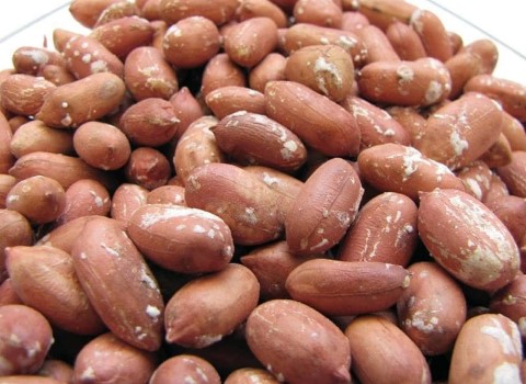 تصویر 2 از خرید بادام زمینی آستانه عمده + قیمت فروش استثنایی