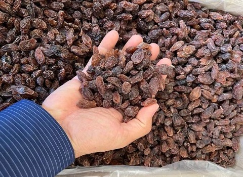 تصویر 2 از خرید و قیمت کشمش فخری شیراز + فروش عمده