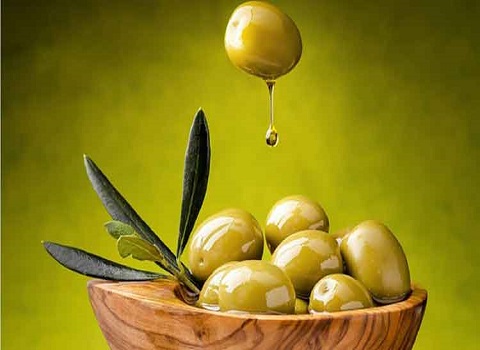 تصویر 4 از قیمت خرید روغن زیتون ارزان + فروش ویژه