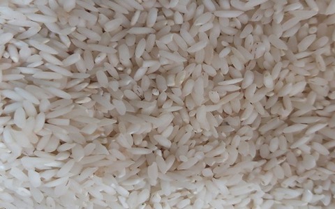 تصویر 1 از خرید و قیمت برنج چمپا خوزستان + فروش عمده