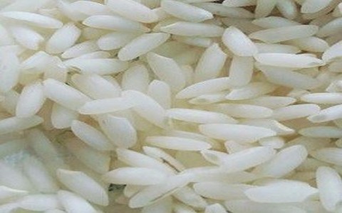 تصویر 3 از خرید و قیمت برنج چمپا خوزستان + فروش عمده