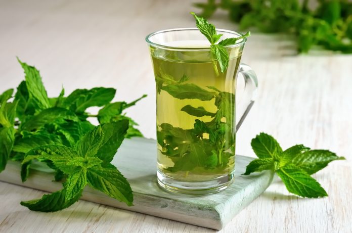 تصویر 3 از قیمت خرید عرق نعنا فلفلی + فروش ویژه