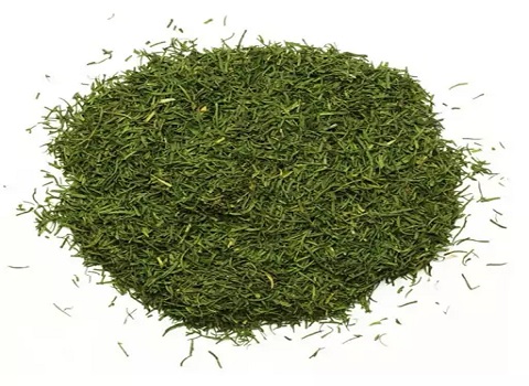 تصویر 1 از فروش شوید خشک کیلویی + قیمت خرید به صرفه