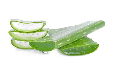 تصویر 4 از خرید و قیمت برگ آلوئه ورا + فروش عمده