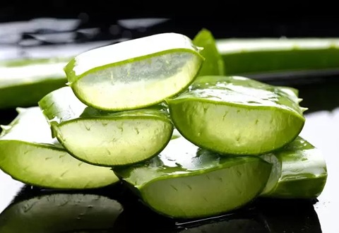 خرید و قیمت برگ آلوئه ورا + فروش عمده