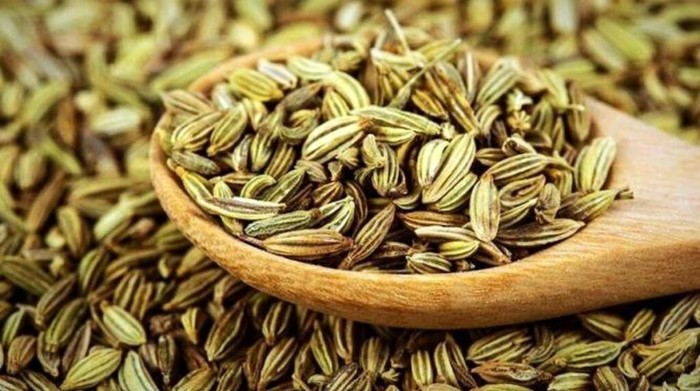 تصویر 3 از قیمت تخم چهار زیره + خرید باور نکردنی
