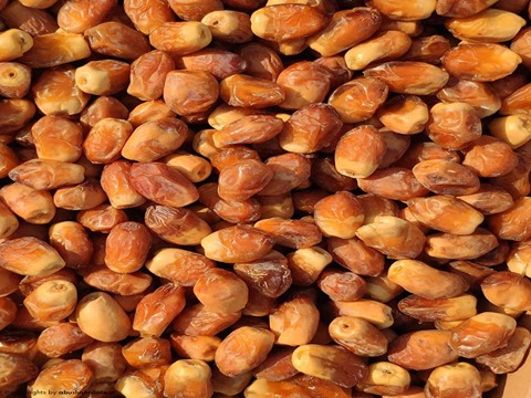 تصویر 1 از خرید و قیمت خرما زاهدی صادراتی + فروش صادراتی