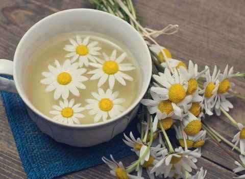 تصویر 1 از خرید و قیمت گیاه دارویی بابونه + فروش عمده