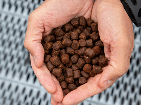 تصویر 3 از خرید و قیمت غذا خشک ماهی + فروش صادراتی